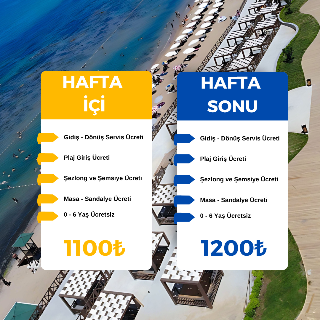 Plaj Taşımacılığı